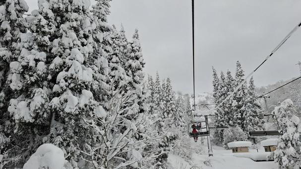 スキー場のリフト リフト,クワッドリフト,搬器の写真素材