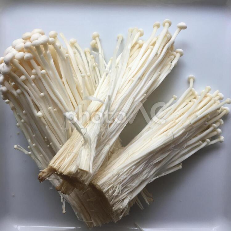 えのき　割り３ えのき,きのこ,白の写真素材