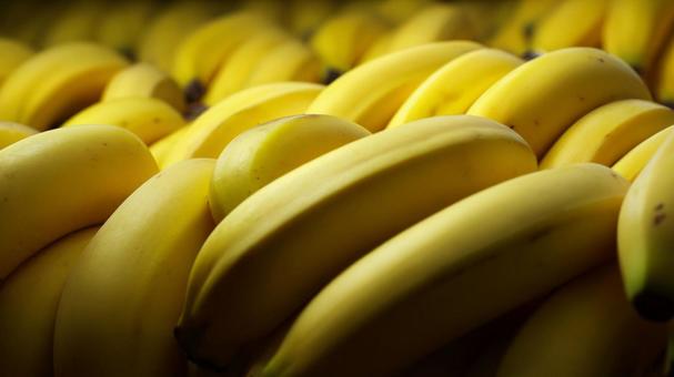 たくさんのバナナの写真
