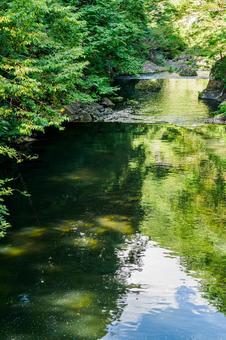 夏の渓流⑿ 夏の渓流⑿の写真