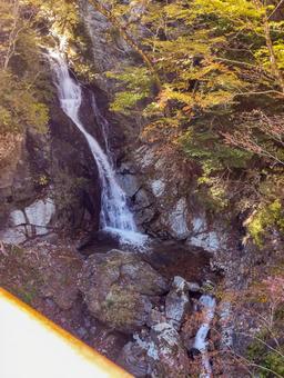 抛雪の滝 秋,抛雪の滝,紅葉の写真素材