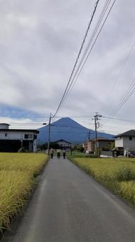富士のある田舎道 富士のある田舎道 富士山,田舎道,田んぼの写真素材