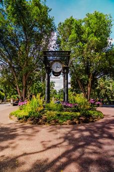 【シンガポール】植物園オーキッドガーデン ナショナル,オーキッドガーデン,ガーデンの写真素材