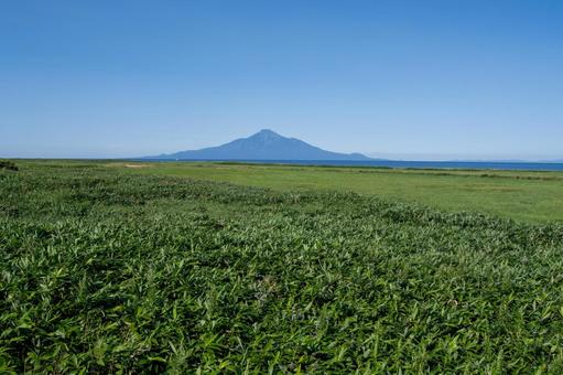 日本海越しに望む夏の利尻岳の雄大な風景 日本海越しに望む夏の利尻岳の雄大な風景 利尻岳,海,空の写真素材