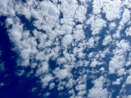 春の青空1 春の青空1の写真