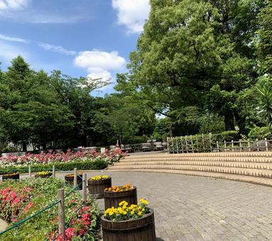 公園 公園の写真