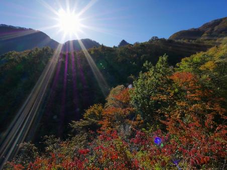 背景に合う内山峠の紅葉 背景に合う内山峠の紅葉の写真