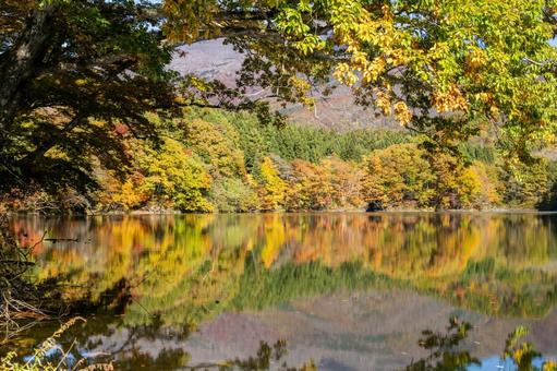 秋の長老湖⑸の写真