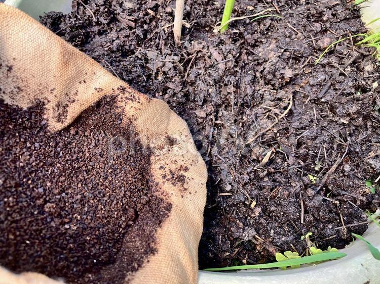 珈琲出がらしを堆肥に変える！その② 珈琲,混ぜる前,プランターの写真素材