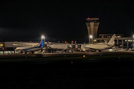 誘導路に咲く点灯の花 誘導路に咲く点灯の花の写真