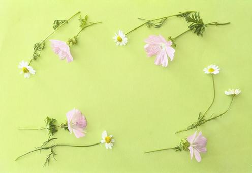 Cute flower frame, JPG Cute flower frame, JPG