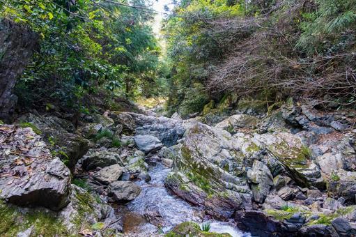 静岡県浜松市 秋の仙厳の滝 渓谷 静岡県浜松市 秋の仙厳の滝 渓谷 日本,静岡県,浜松市の写真素材
