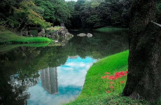 庭園の池とビルと彼岸花 庭園の池とビルと彼岸花の写真