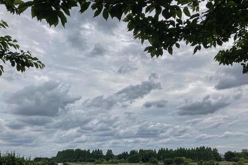 見沼の空と雲 見沼の空と雲の写真