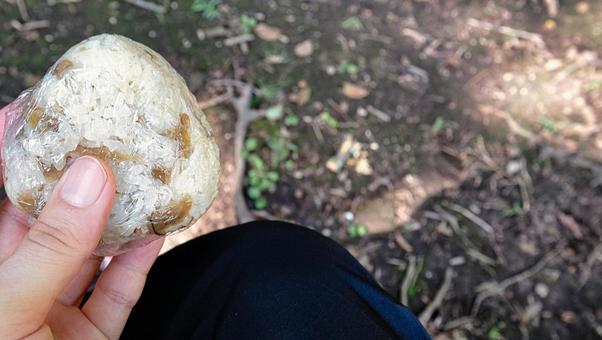 山頂で食べるおにぎり 山頂で食べるおにぎり おにぎり,食べ物,風景の写真素材