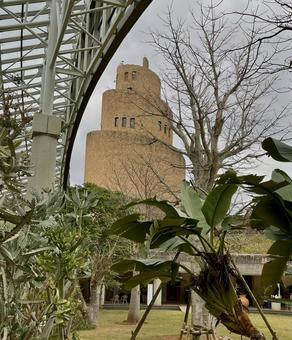 沖縄海洋博公園の写真