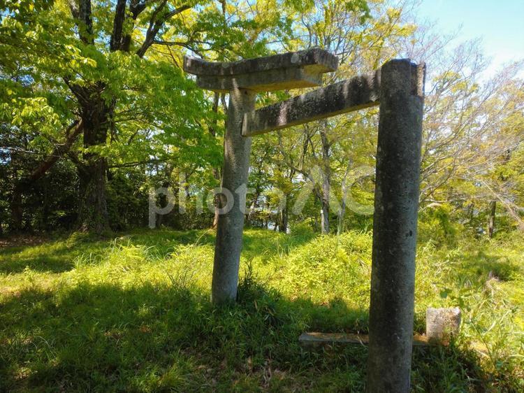 朽ちた鳥居 鳥居,朽ちた,自然の写真素材