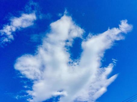 雲 雲の写真