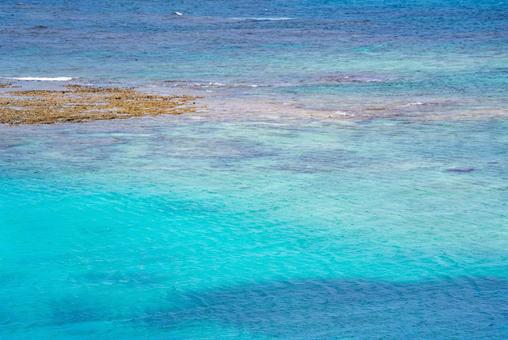 沖縄の海 沖縄の海の写真