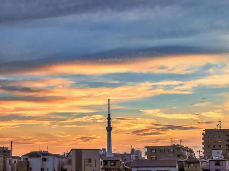 中川越しの夕焼け雲とスカイツリー 中川,夕焼け雲,スカイツリーの写真素材