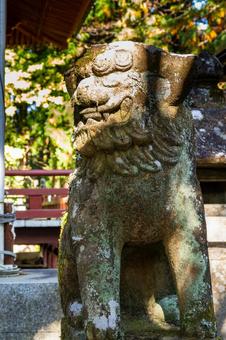 安狐山斗蔵寺⒃ 寺,寺院,安狐山斗蔵寺の写真素材