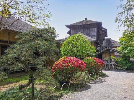 偕楽園 小径から見える好文亭 偕楽園 小径から見える好文亭 偕楽園,好文亭,植栽の写真素材