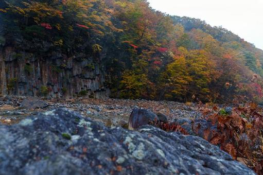 松川渓谷の柱状節理と紅葉 松川渓谷の柱状節理と紅葉 松川渓谷,柱状節理,紅葉の写真素材