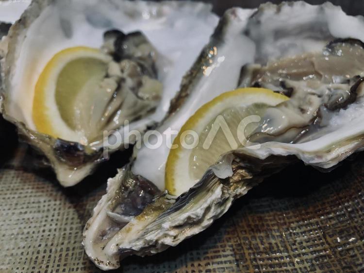 生ガキ,殻付き牡蠣, 牡蠣,オイスター,生ガキの写真素材