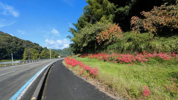 里山の赤の写真