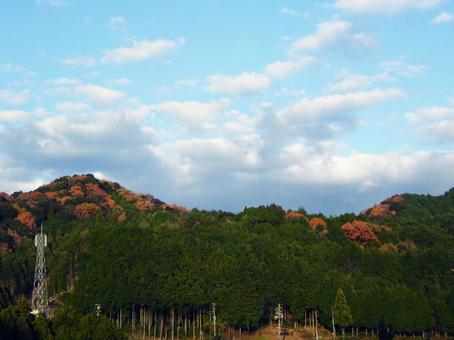色づき始めた山と空の風景 色づき始めた山と空の風景 山,空,青空の写真素材