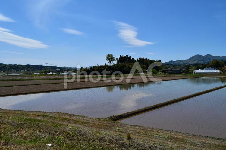 田園風景 水,田,自然の写真素材