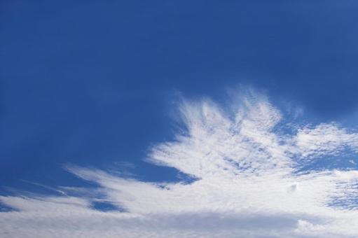 青空 青空,雲,一面の写真素材