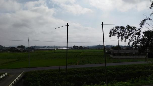 田んぼと道 田んぼと道の写真