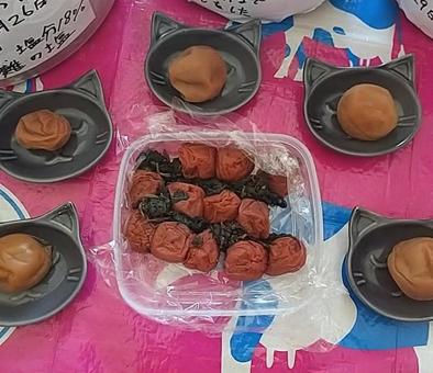 自家製梅干し 自家製梅干し 梅干し,保存食,南高梅の写真素材