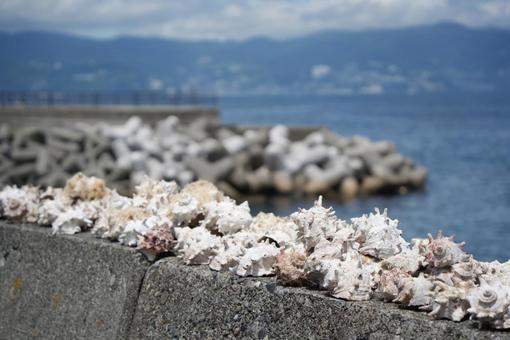 海辺 海辺の写真