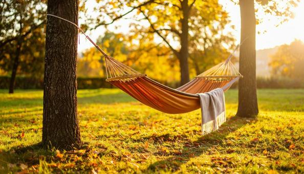 秋の朝のハンモック風景 秋の朝のハンモック風景の写真