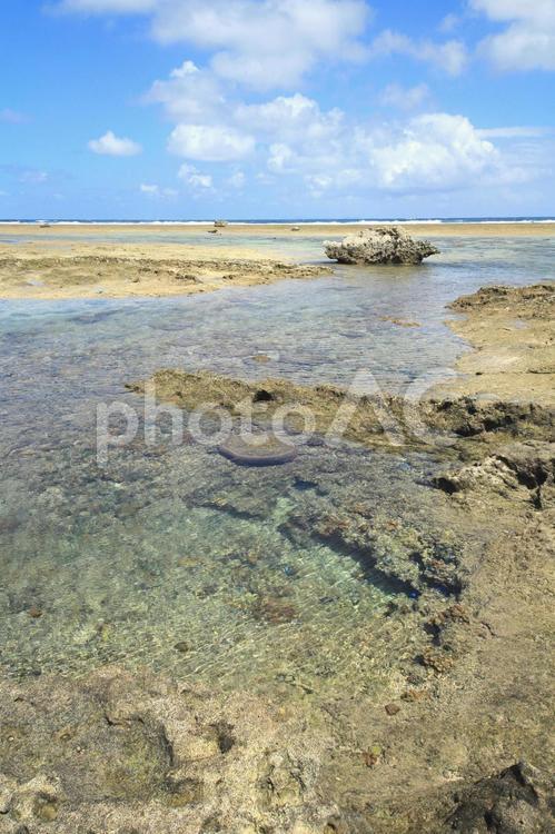 沖縄の海 沖縄の海 沖縄,海,海岸の写真素材