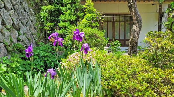 秩父34観音 32番 法性寺 新緑の庭園 秩父34観音 32番 法性寺 新緑の庭園 法性寺,般若山,新緑の写真素材