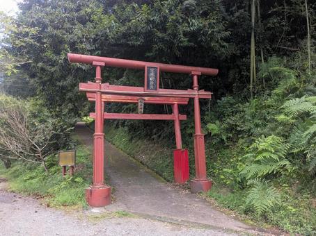 緑に囲まれた宮地嶽神社の赤い鳥居 緑に囲まれた宮地嶽神社の赤い鳥居の写真