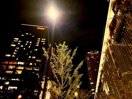 都市の街並 都市,都会,夜の都市の緑の写真素材