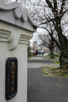 猿猴橋 桜,広島市,猿猴橋の写真素材