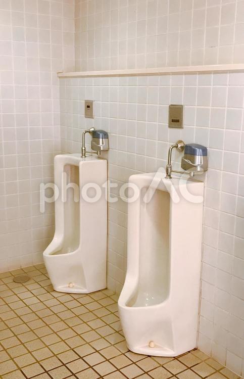 トイレ便器 トイレ便器,男子用トイレ,男子トイレの写真素材