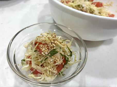 トマトと線キャベツのサラダ トマトと線キャベツのサラダ サラダ,トマト,キャベツの写真素材