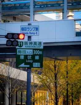 大阪市の交通標識の案内板と銀杏の黄葉	 交通,道路交通,公共交通の写真素材