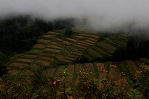 慶地の棚田 慶地の棚田の写真