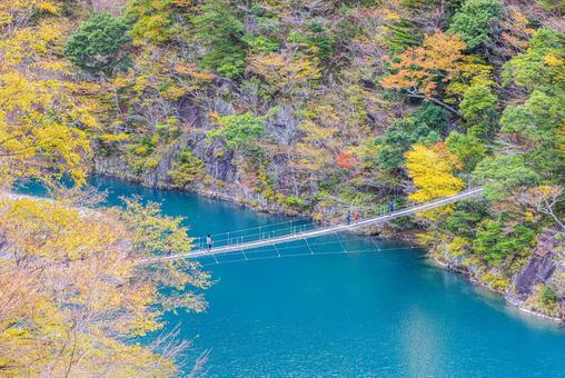 静岡県　寸又峡の夢の吊橋・秋景色 寸又峡,紅葉,風景の写真素材