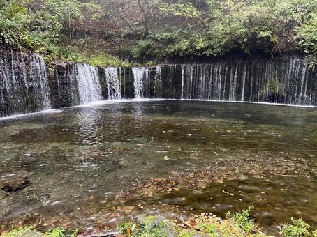 白糸の滝　秋　3 （軽井沢） 白糸の滝,観光地,滝の写真素材