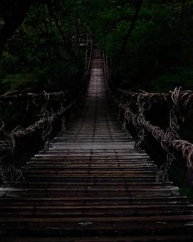 橋 橋の写真
