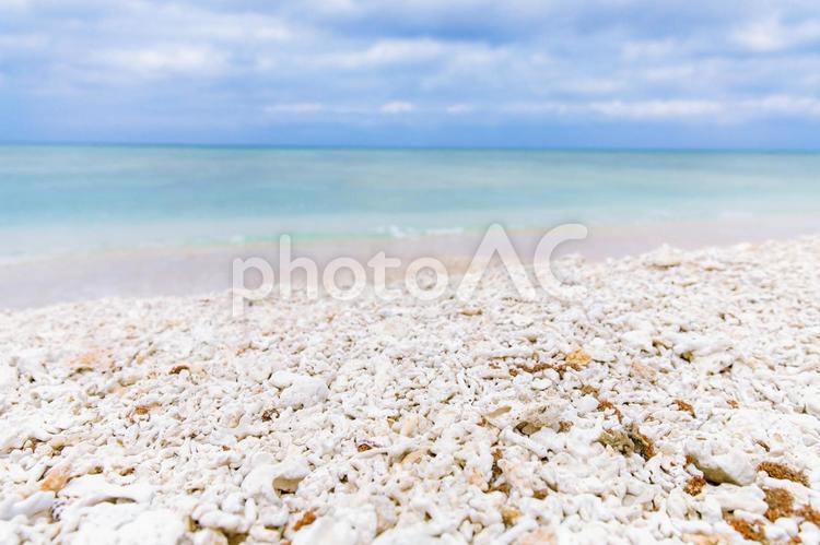 海　海岸　サンゴ　夏　リゾート 夏,沖縄,リゾートの写真素材