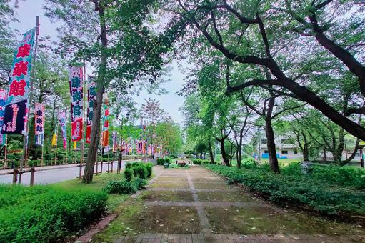 明治百年通り13 明治百年通り13 小坂町,明治百年通り,のぼり旗の写真素材